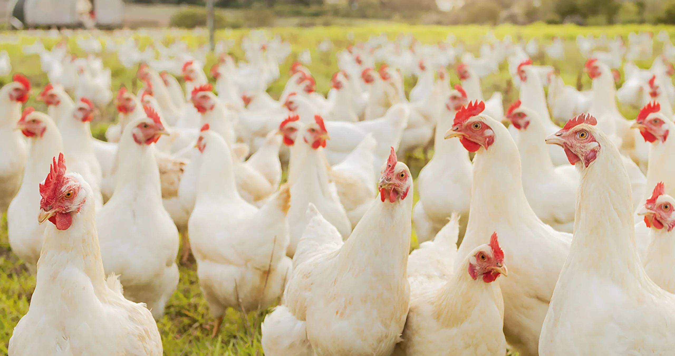 SliderAlivira4-scaled